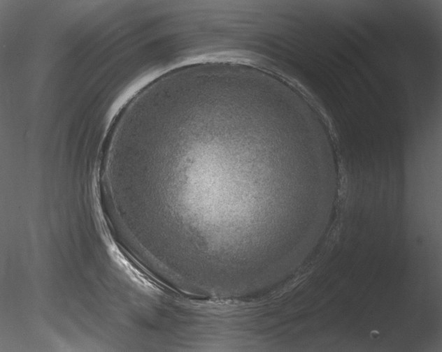 X0000085820952200703161219
