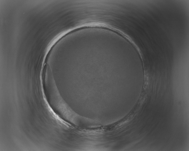 X0000085820959200703161219