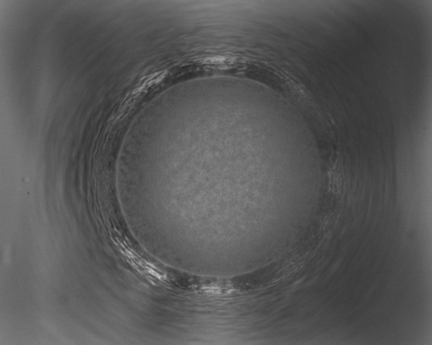 X0000085820961200703161218