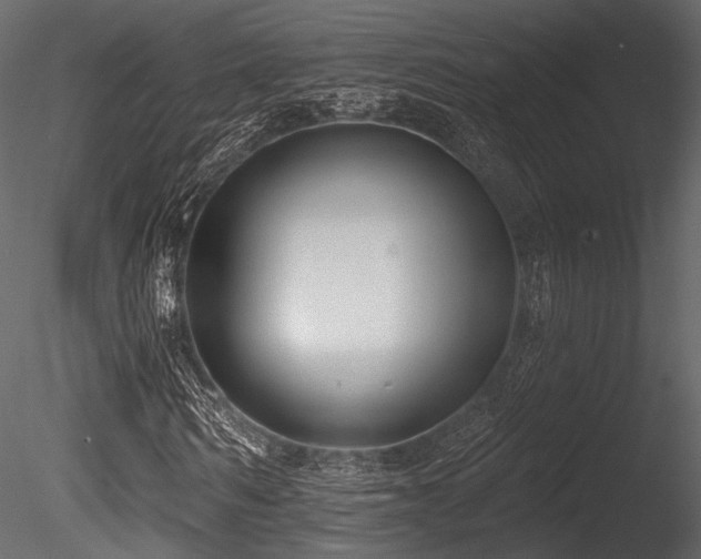 X0000085820962200703161218