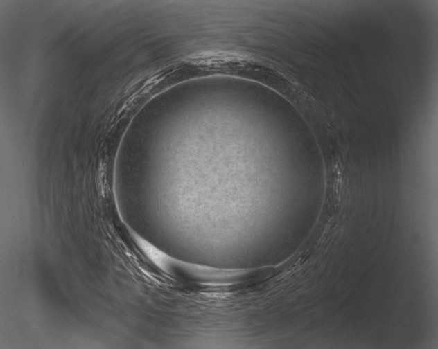 X0000085820965200703161218