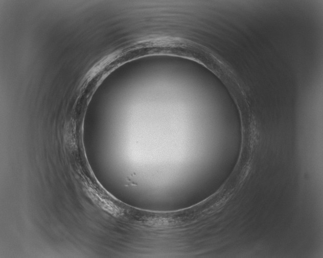 X0000085820970200703161218