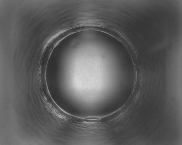 X0000085820971200703161218