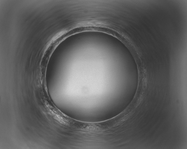 X0000085820974200703161218