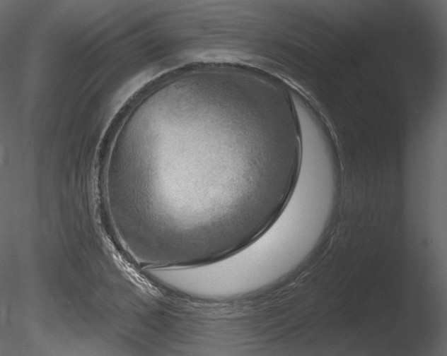 X0000085820976200703161218
