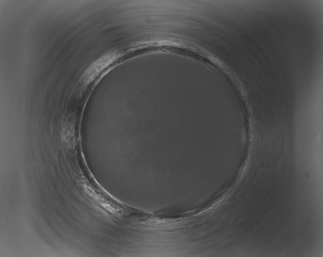 X0000085820977200703161218