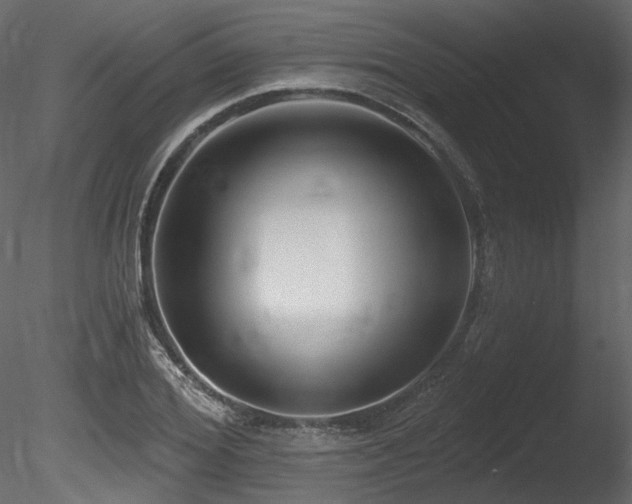 X0000085820980200703161218