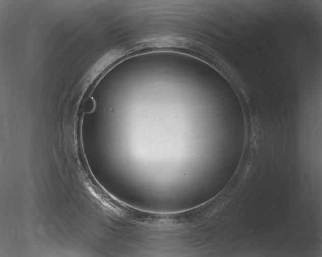 X0000085820986200703161218