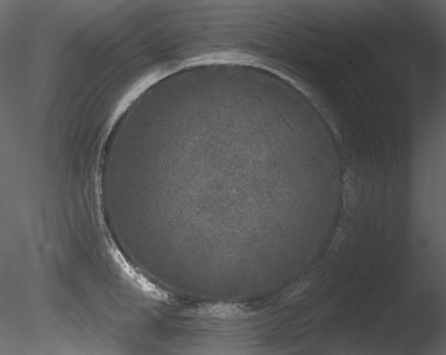 X0000085820998200703161218