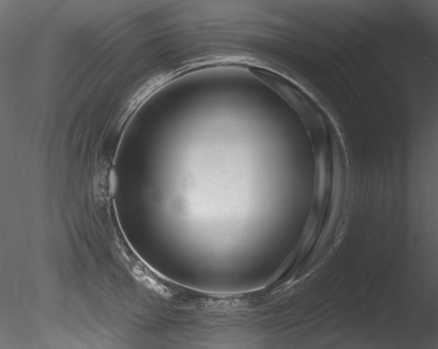 X0000085821001200703161218