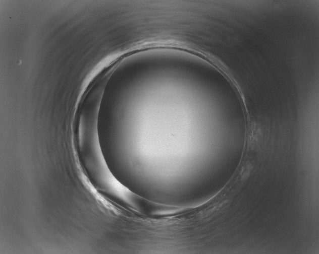 X0000085821005200703161217