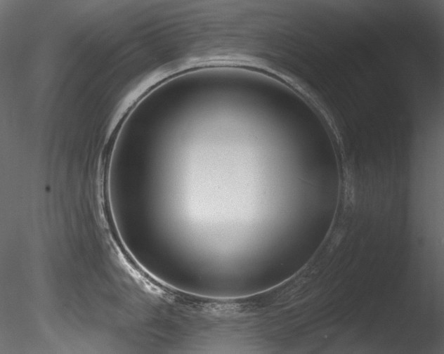 X0000085821006200703161217
