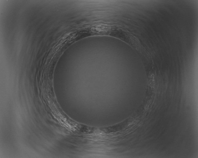 X0000085821009200703161217