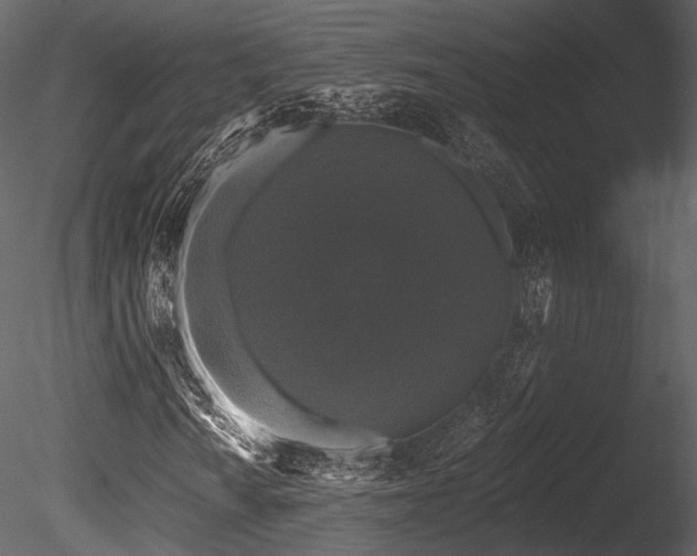 X0000085821010200703161217