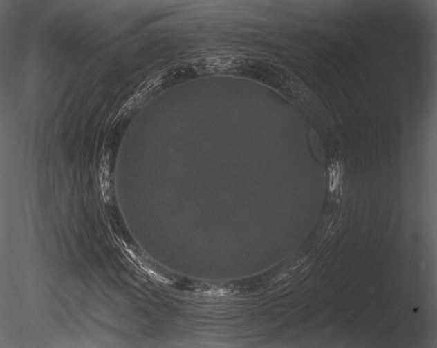X0000085821011200703161217