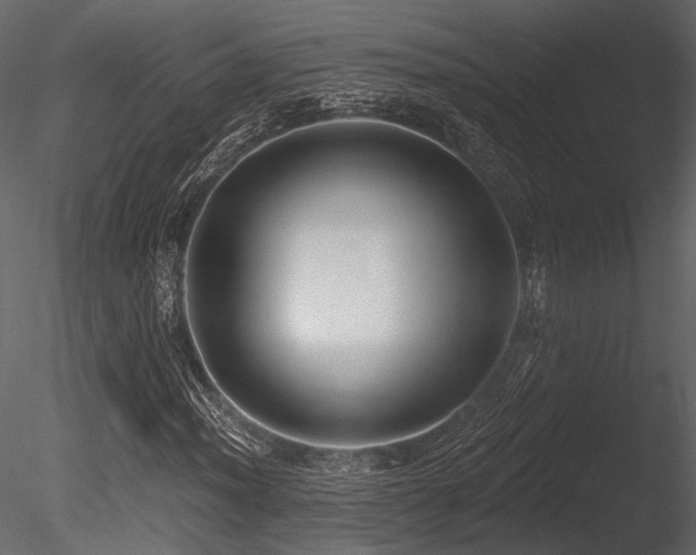 X0000085821012200703161217
