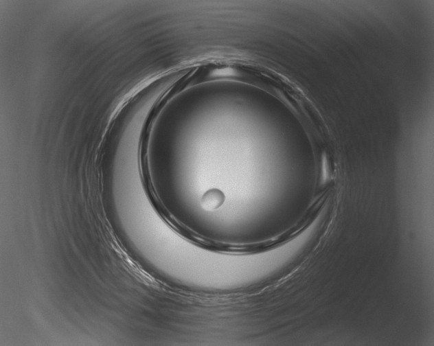 X0000085821018200703161217