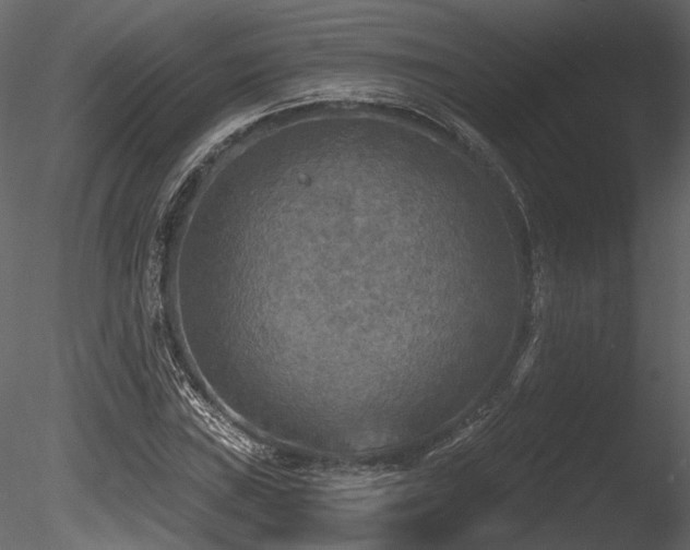 X0000085821019200703161217