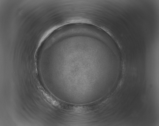 X0000085821022200703161217