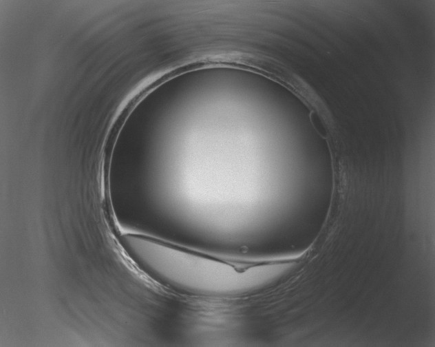 X0000085821036200703161217