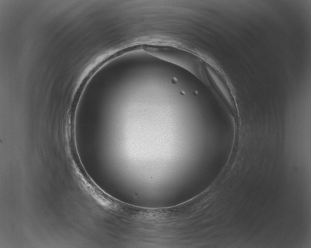 X0000085821040200703161217