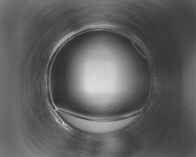 X0000085821044200703161217