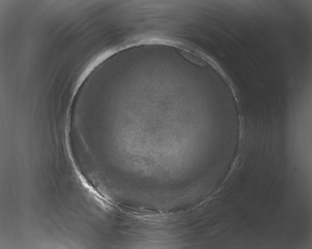 X0000085821048200703161217