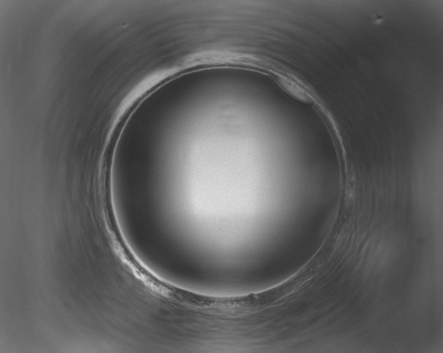 X0000085821053200703161217