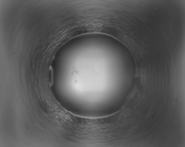 X0000085821057200703161217