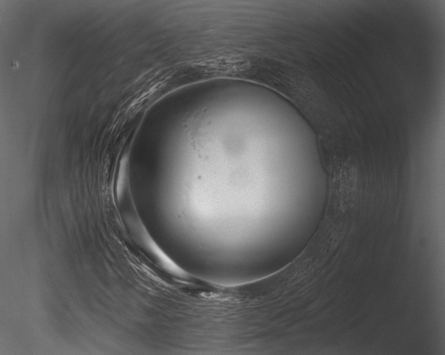 X0000085821058200703161217
