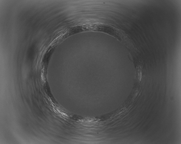 X0000085821060200703161216