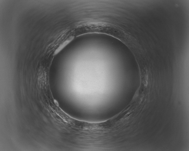X0000085821061200703161216
