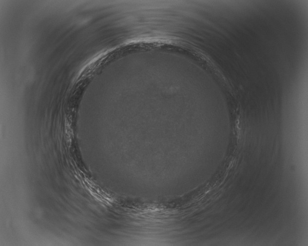 X0000085821064200703161216