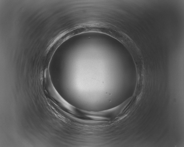 X0000085821065200703161216