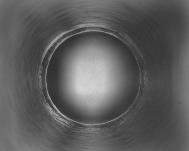 X0000085821068200703161216