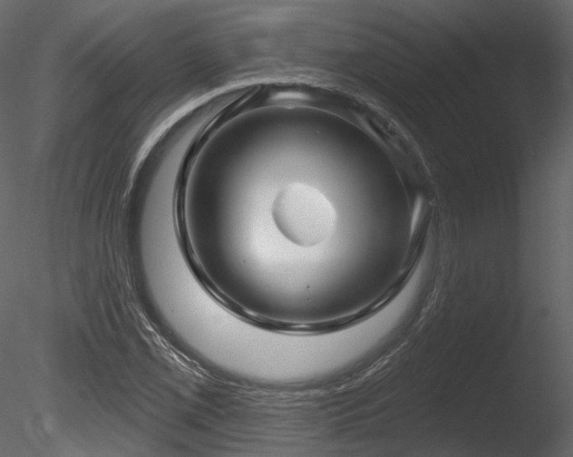 X0000085821069200703161216