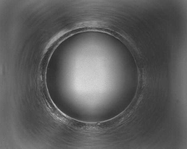 X0000085821070200703161216