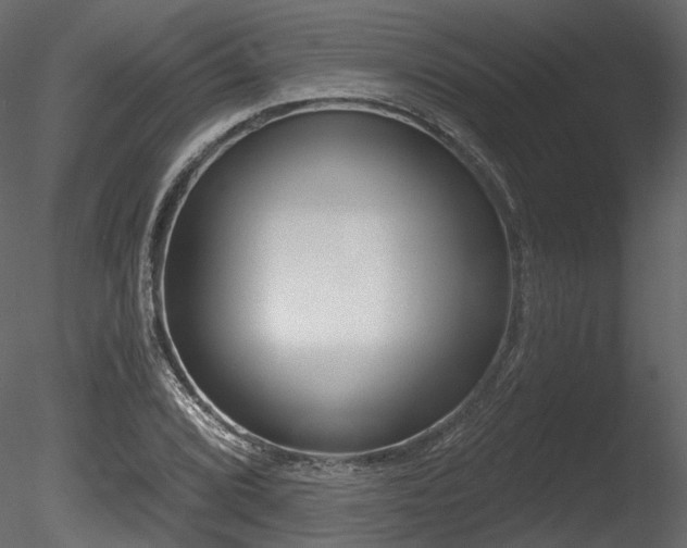 X0000085821072200703161216