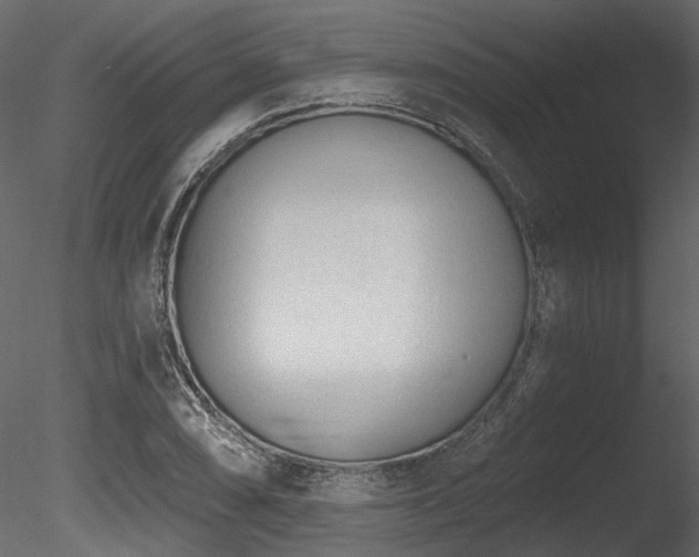 X0000085821074200703161216