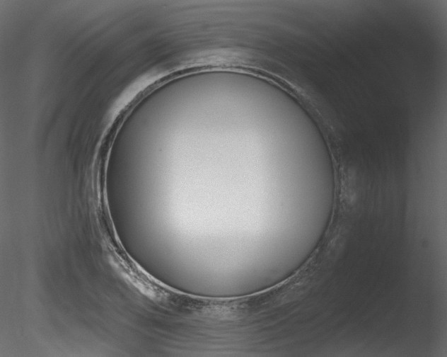 X0000085821078200703161216