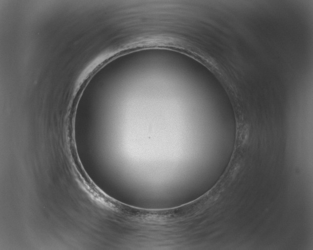 X0000085821086200703161216
