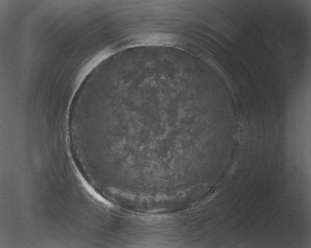 X0000085821087200703161216