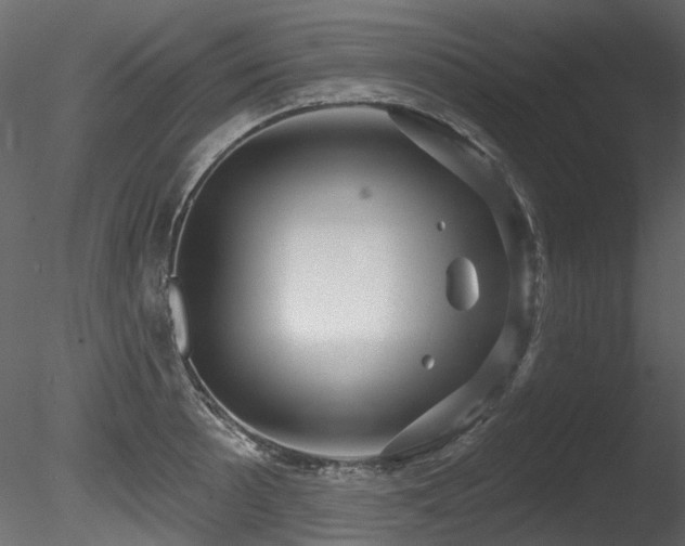 X0000085821089200703161216