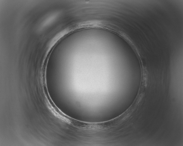 X0000085821090200703161216