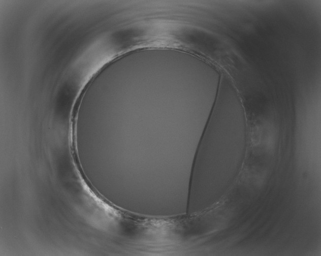 X0000085821095200703161216