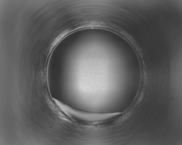 X0000085821097200703161216