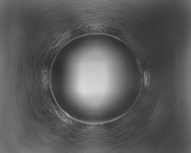 X0000085821107200703161215