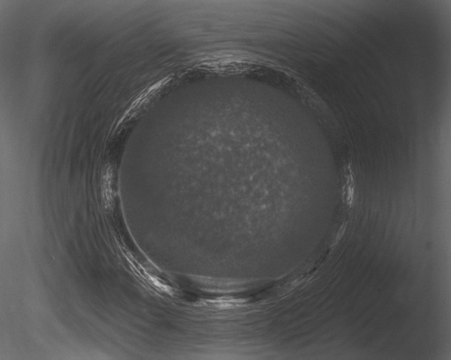 X0000085821108200703161215