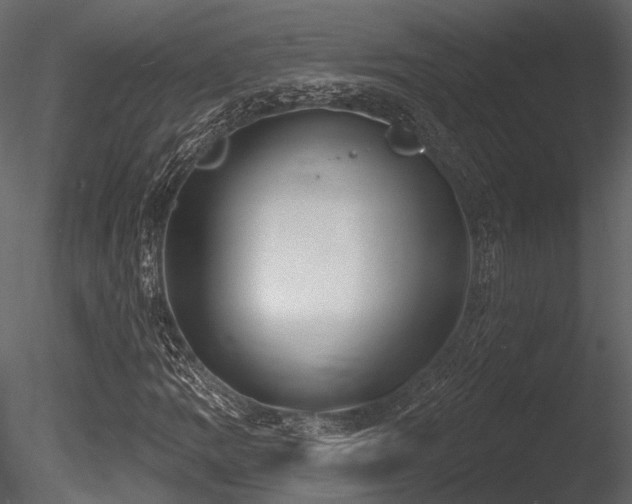 X0000085821109200703161215