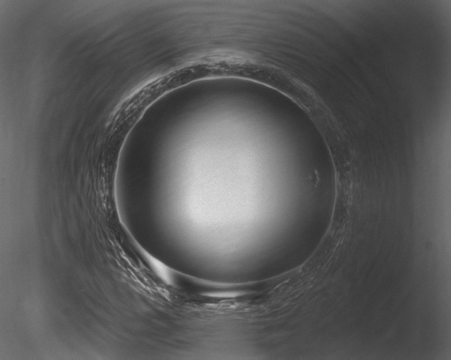X0000085821112200703161215